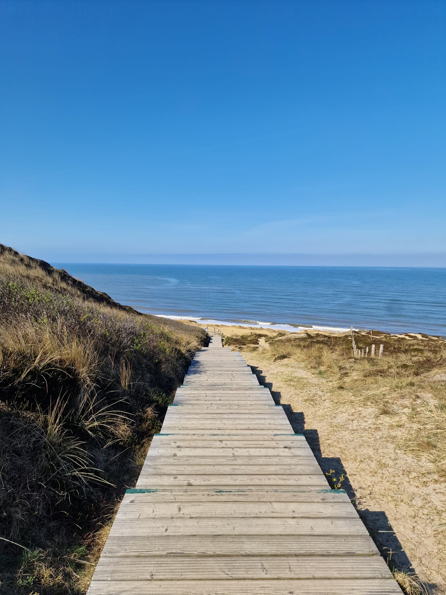 Bohlenweg zum Meer